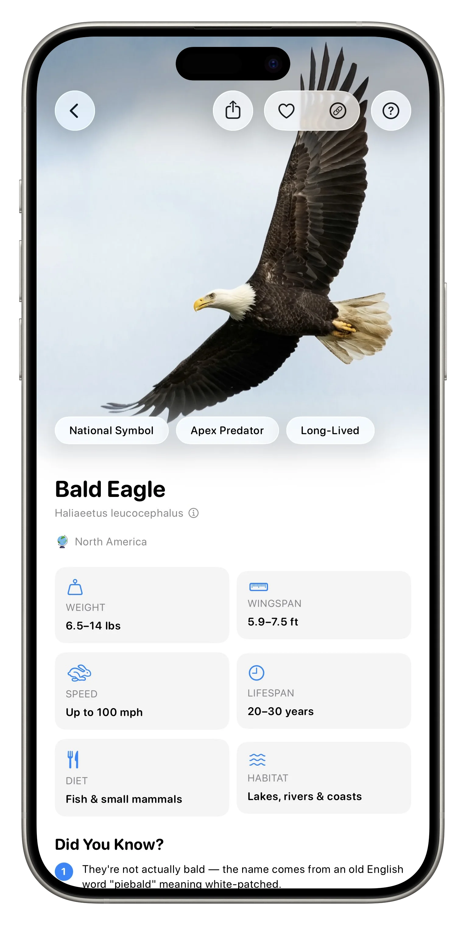 Fauna App Screenshot